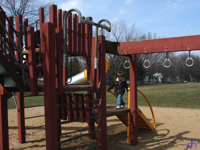 Aster on a Jungle Gym