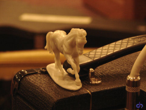Stallion on Guitar Amp